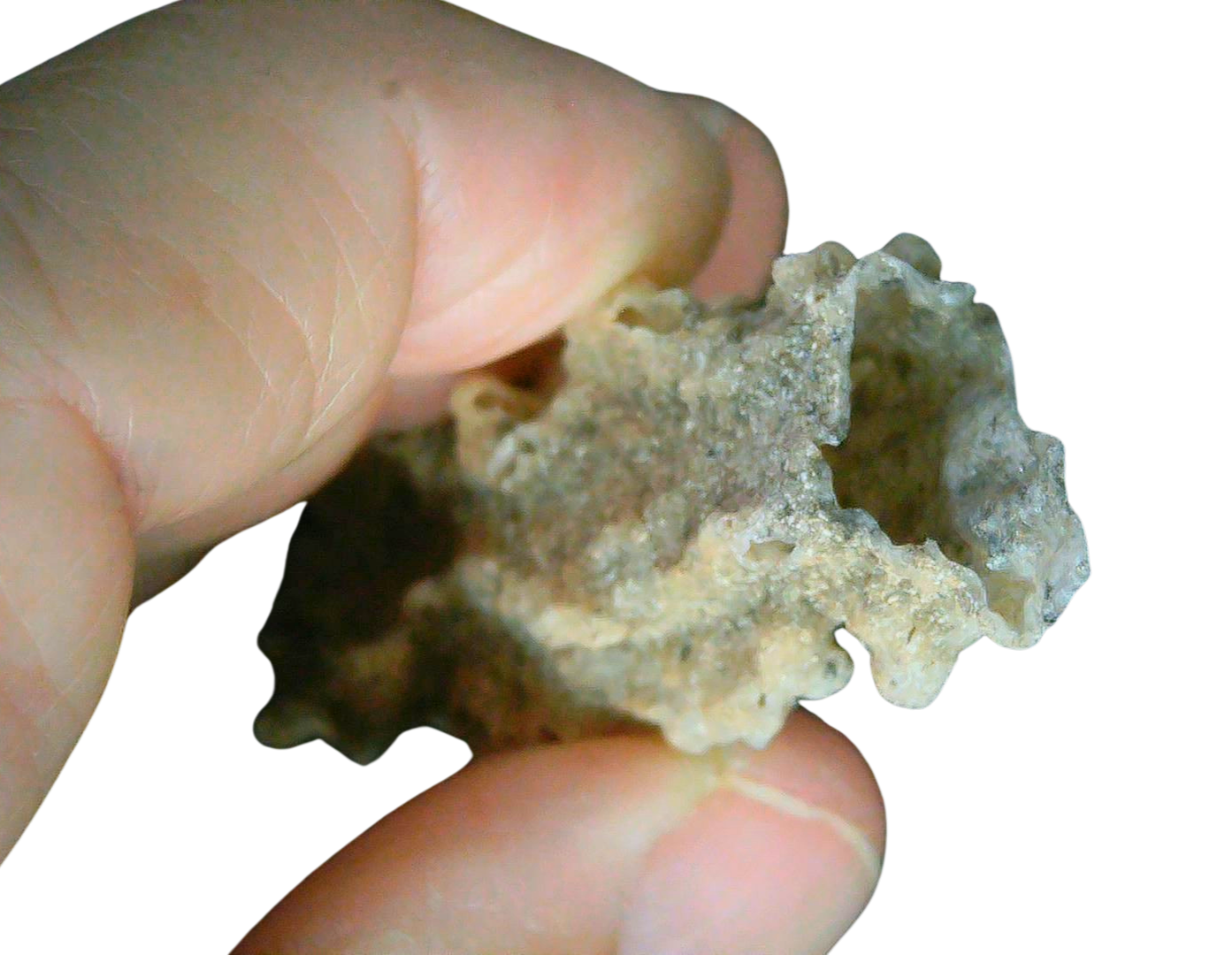 Fossil Lightning Fulgurites For Sale Lightning Glass Created by Lightning Strikes 279 Long 30c | Fossils for Sale