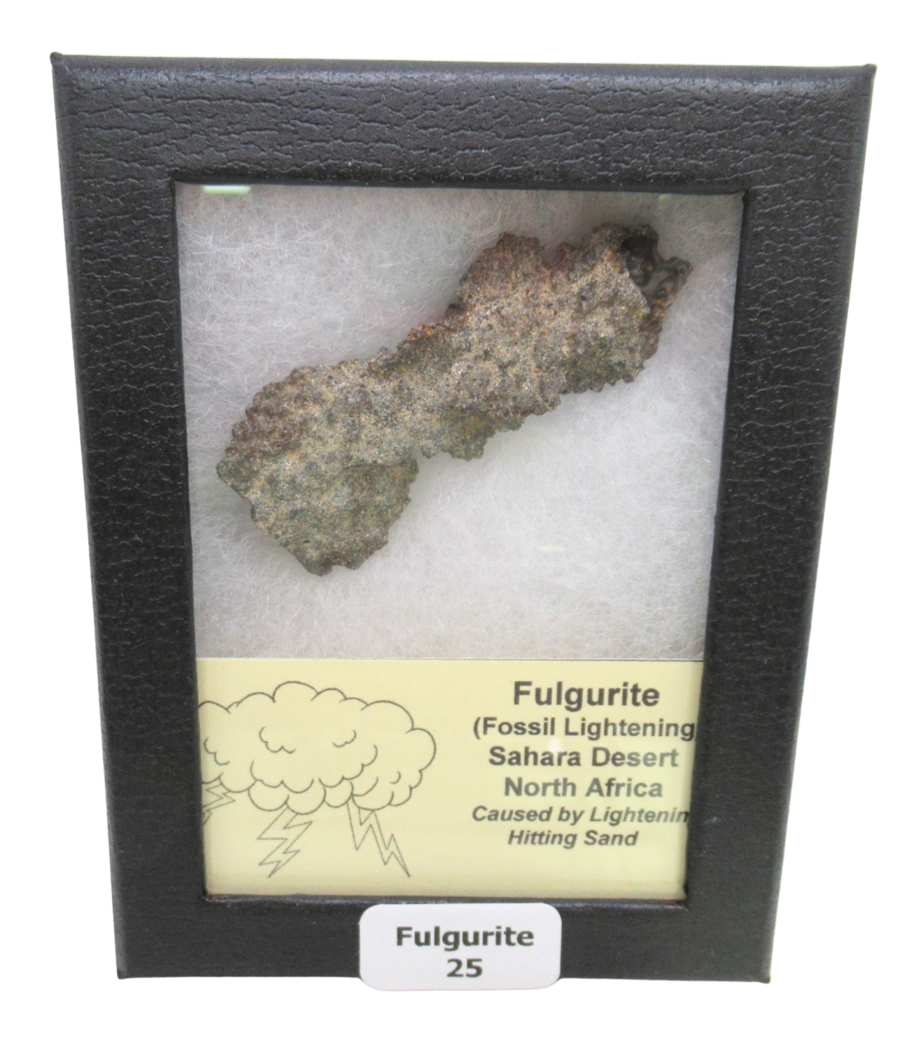 Fossil Lightning Fulgurites For Sale Lightning Glass Created by Lightning Strikes25 | Fossils for Sale