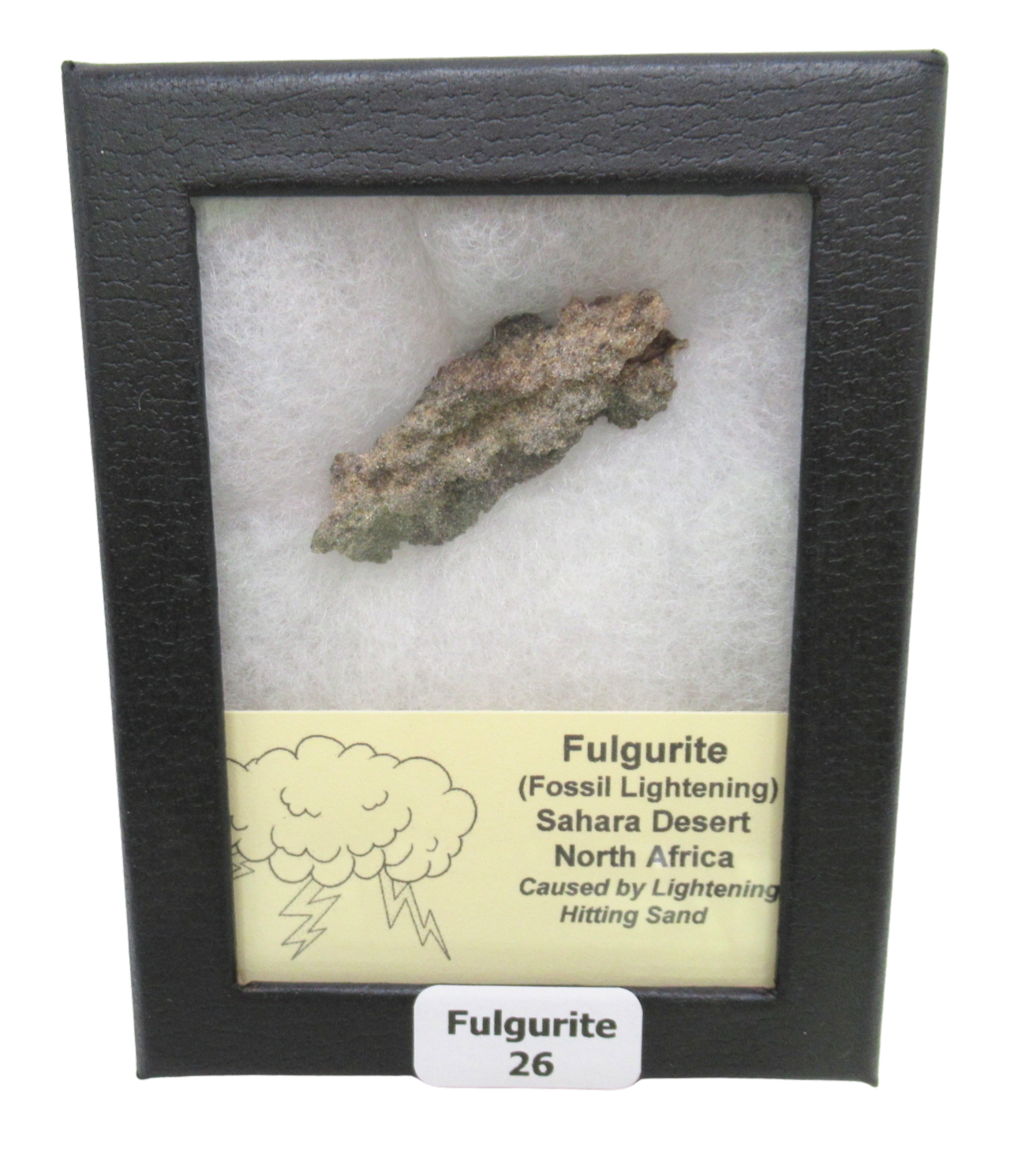 Fossil Lightning Fulgurites For Sale Lightning Glass Created by Lightning Strikes26 | Fossils for Sale