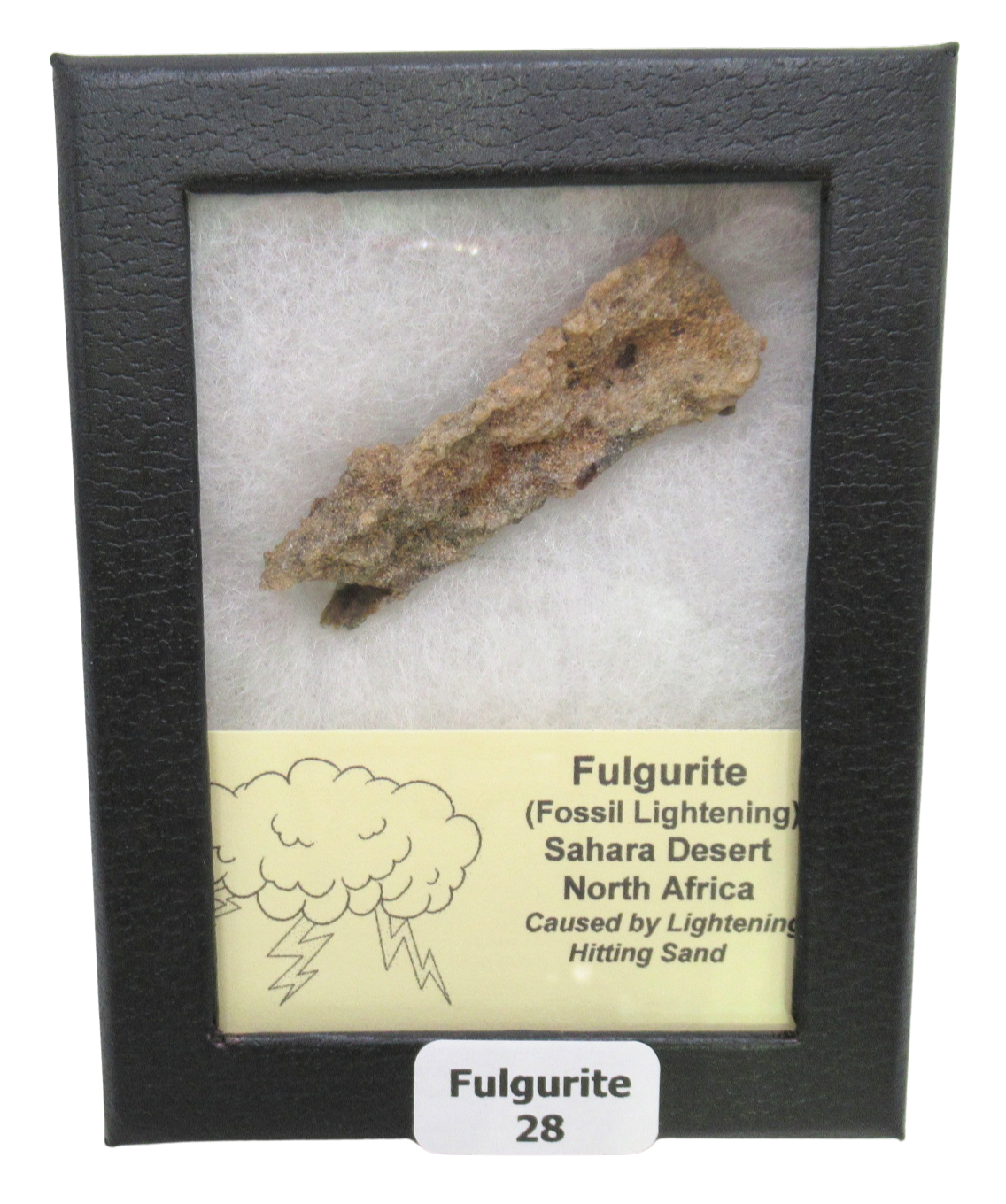 Fossil Lightning Fulgurites For Sale Lightning Glass Created by Lightning Strikes28 | Fossils for Sale
