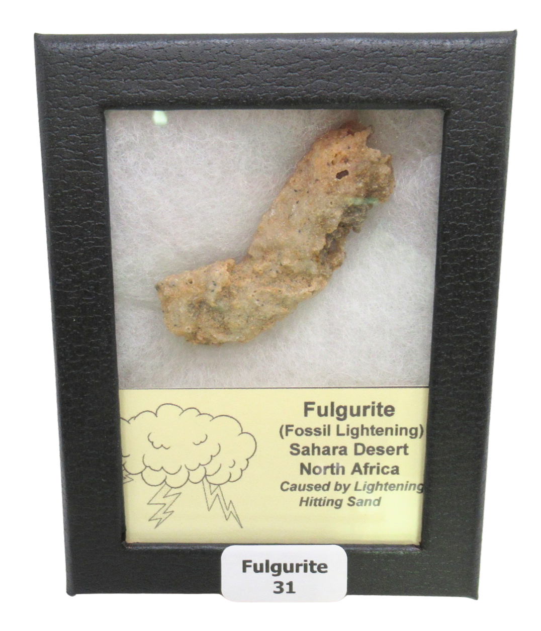 Fossil Lightning Fulgurites For Sale Lightning Glass Created by Lightning Strikes31 | Fossils for Sale