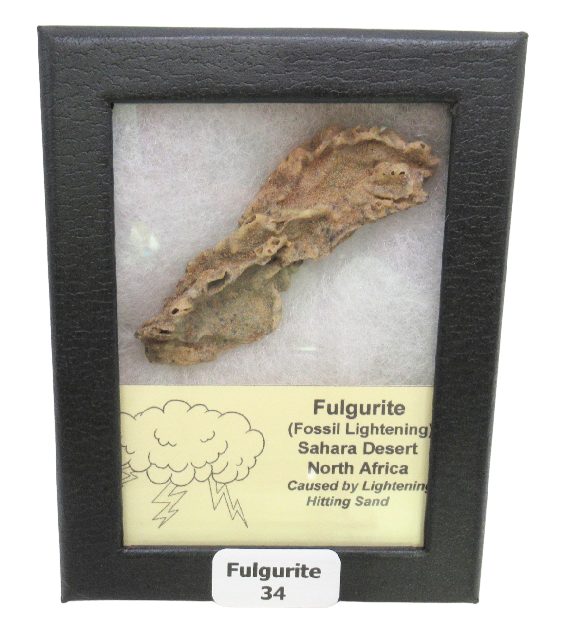 Fossil Lightning Fulgurites For Sale Lightning Glass Created by Lightning Strikes34 | Fossils for Sale