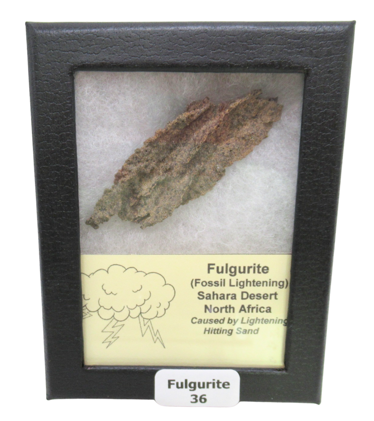 Fossil Lightning Fulgurites For Sale Lightning Glass Created by Lightning Strikes36 | Fossils for Sale