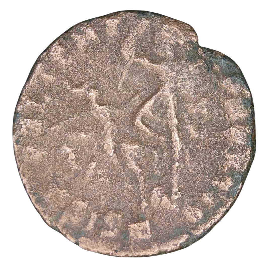 Genuine Roman Coins For Sale Genuine Ancient Roman Coins 42a | Fossils for Sale Genuine Roman Coins For Sale Genuine Ancient Roman Coins #42a