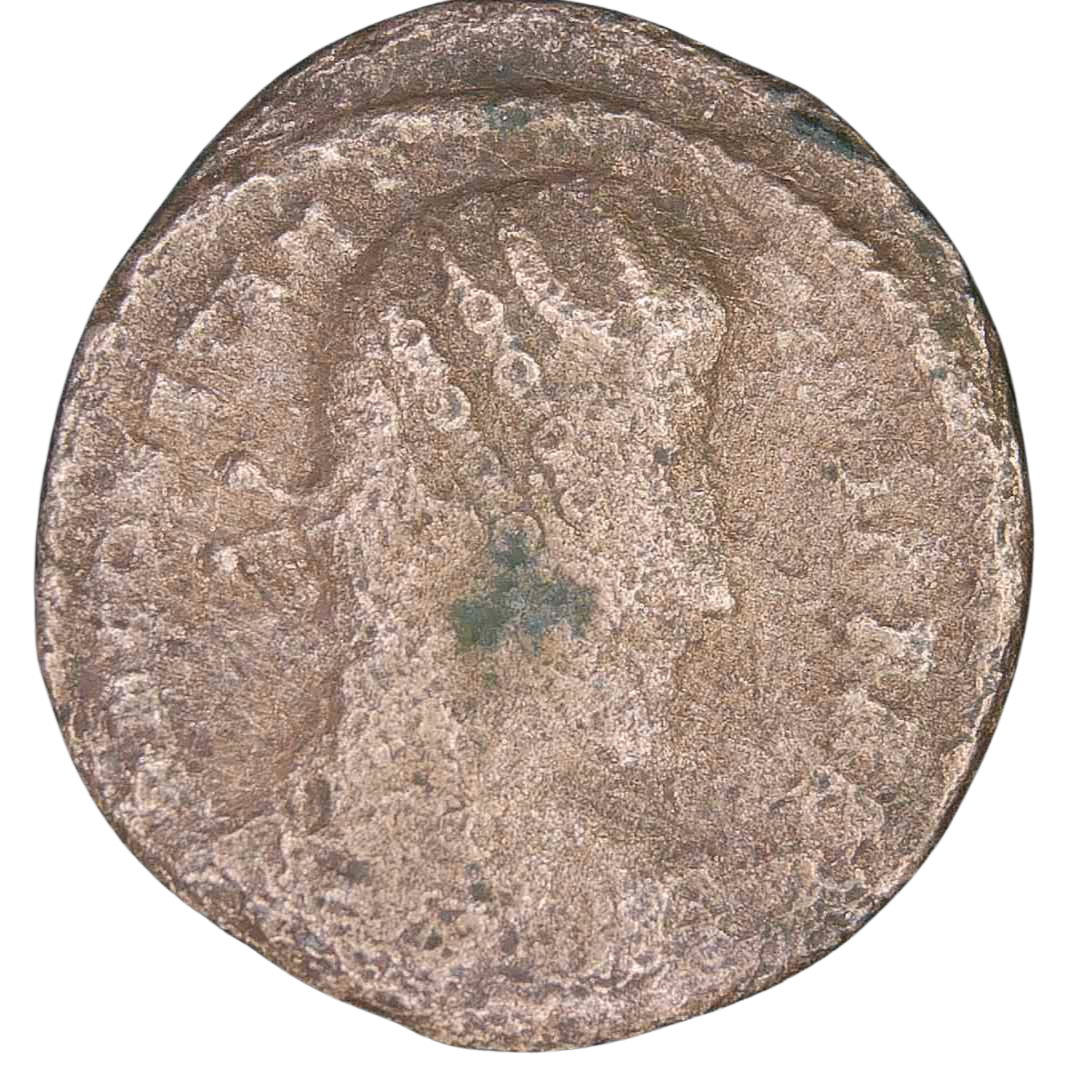 Genuine Roman Coins For Sale Genuine Ancient Roman Coins 46 | Fossils for Sale Genuine Roman Coins For Sale Genuine Ancient Roman Coins #46
