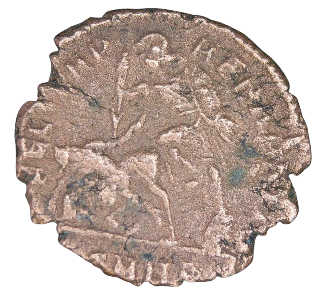 Genuine Roman Coins For Sale Genuine Ancient Roman Coins 49a | Fossils for Sale Genuine Roman Coins For Sale Genuine Ancient Roman Coins #49a