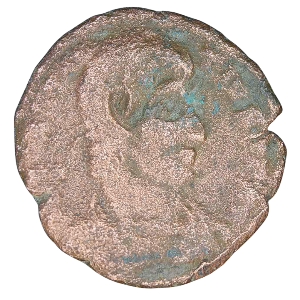 Genuine Roman Coins For Sale Genuine Ancient Roman Coins 52 | Fossils for Sale Genuine Roman Coins For Sale Genuine Ancient Roman Coins #52