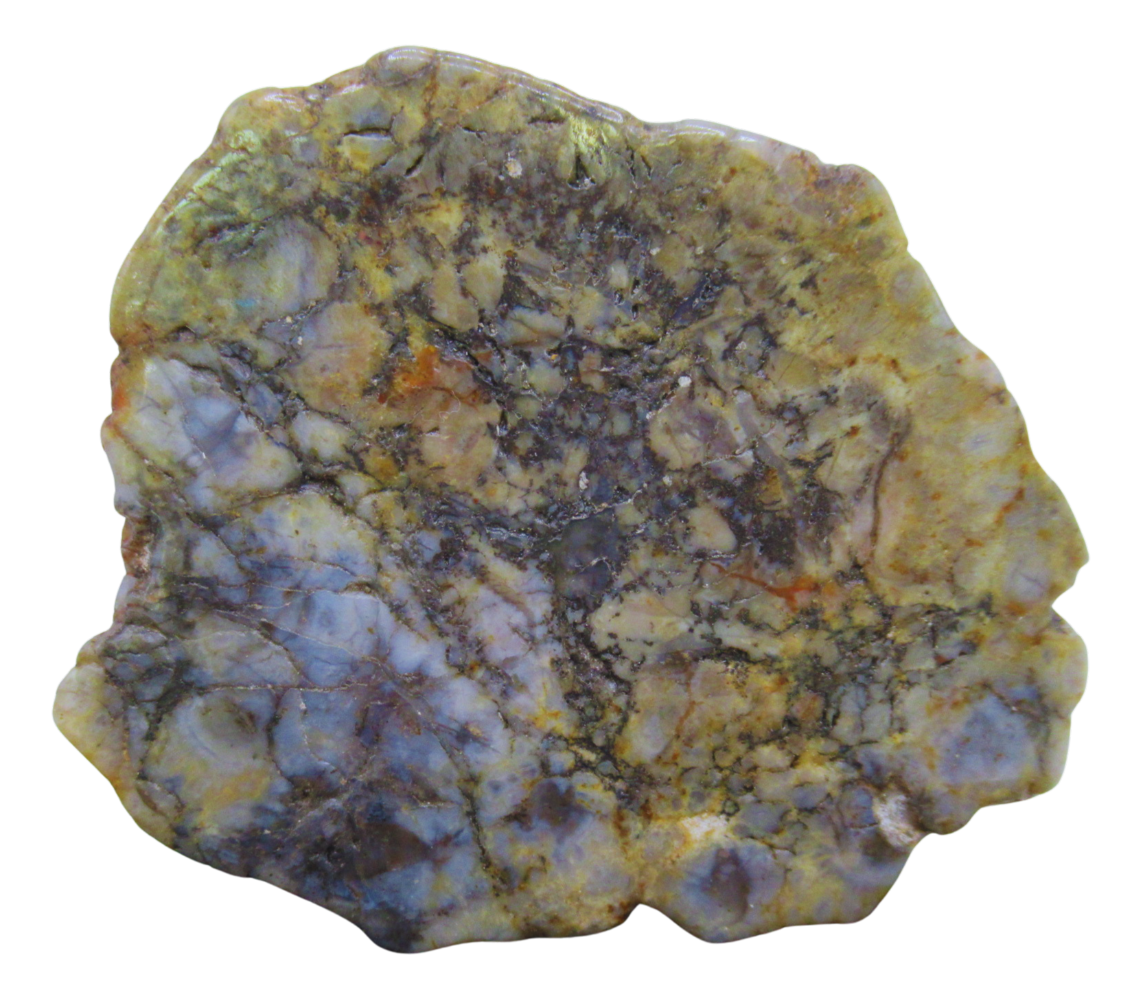 Jurassic Dinosaur Coprolite For Sale Genuine Fossil Dino Poop 120 | Fossils for Sale Jurassic Dinosaur Coprolite For Sale Genuine Fossil Dino Poop 120
