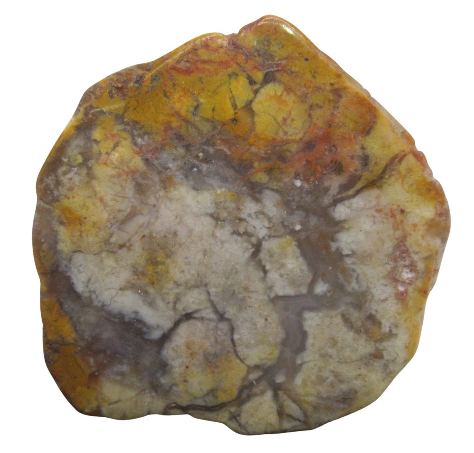 Jurassic Dinosaur Coprolite For Sale Genuine Fossil Dino Poop 122a | Fossils for Sale Jurassic Dinosaur Coprolite For Sale Genuine Fossil Dino Poop 122a