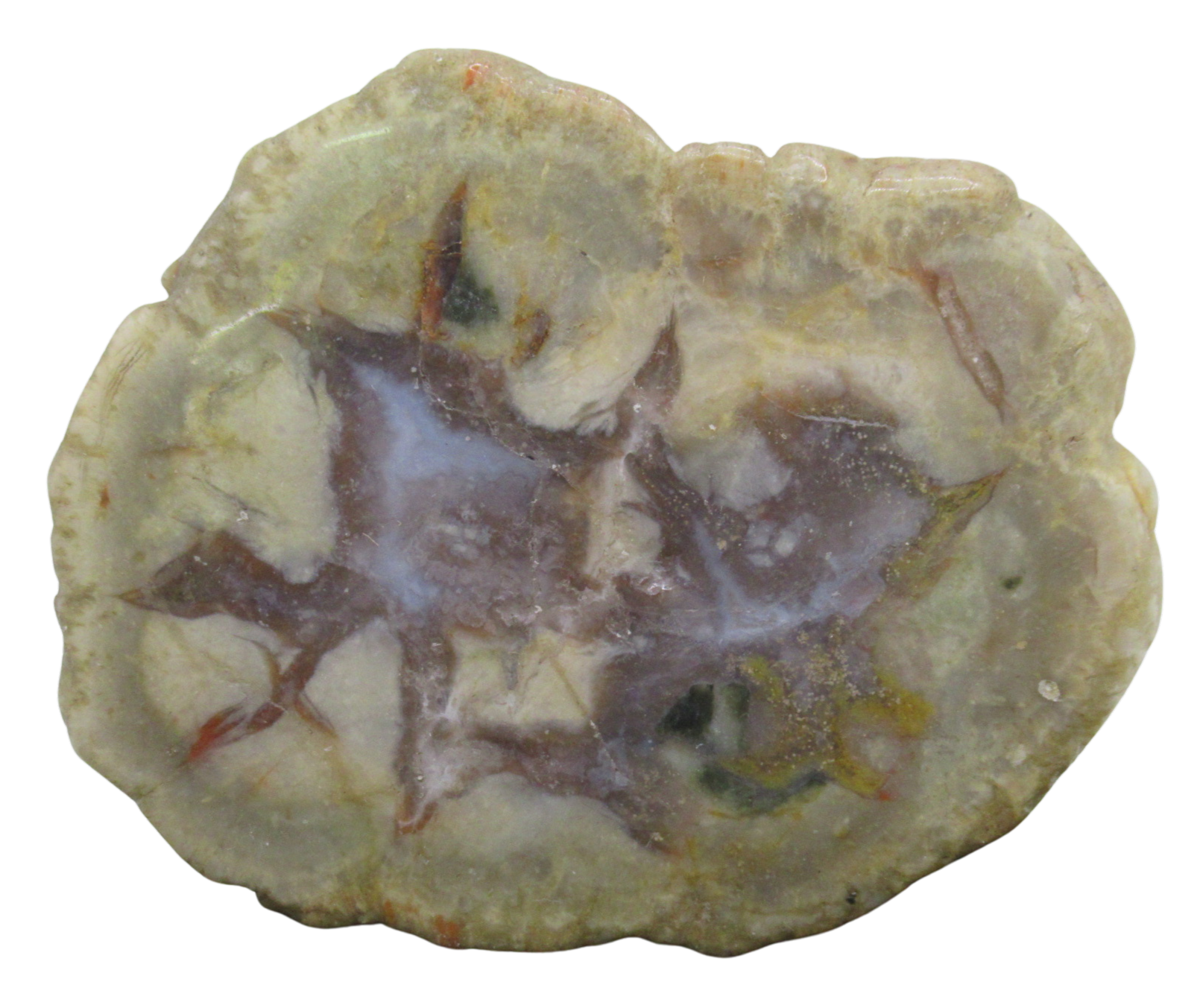 Jurassic Dinosaur Coprolite For Sale Genuine Fossil Dino Poop 126 | Fossils for Sale Jurassic Dinosaur Coprolite For Sale Genuine Fossil Dino Poop 126