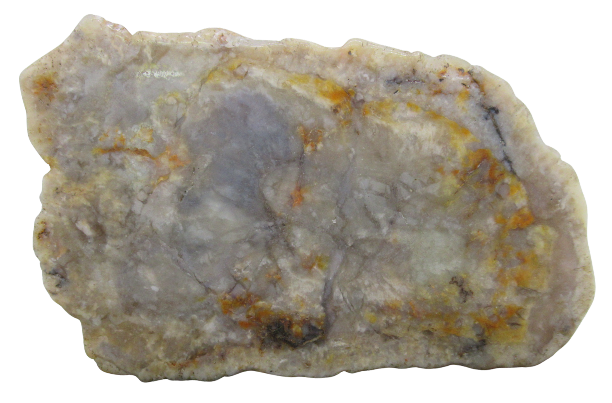Jurassic Dinosaur Coprolite For Sale Genuine Fossil Dino Poop 130 | Fossils for Sale Jurassic Dinosaur Coprolite For Sale Genuine Fossil Dino Poop 130
