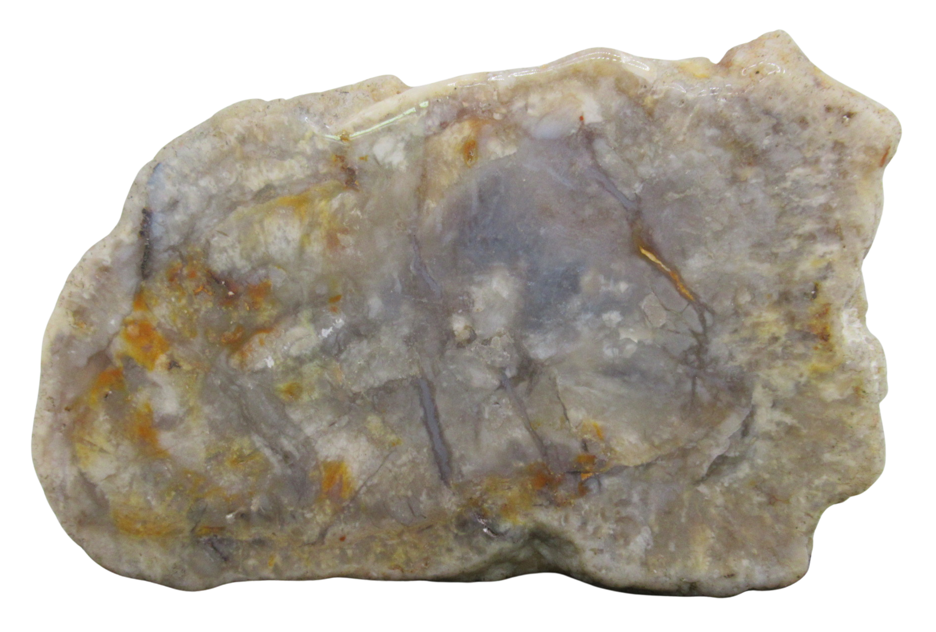 Jurassic Dinosaur Coprolite For Sale Genuine Fossil Dino Poop 130a | Fossils for Sale Jurassic Dinosaur Coprolite For Sale Genuine Fossil Dino Poop 130a