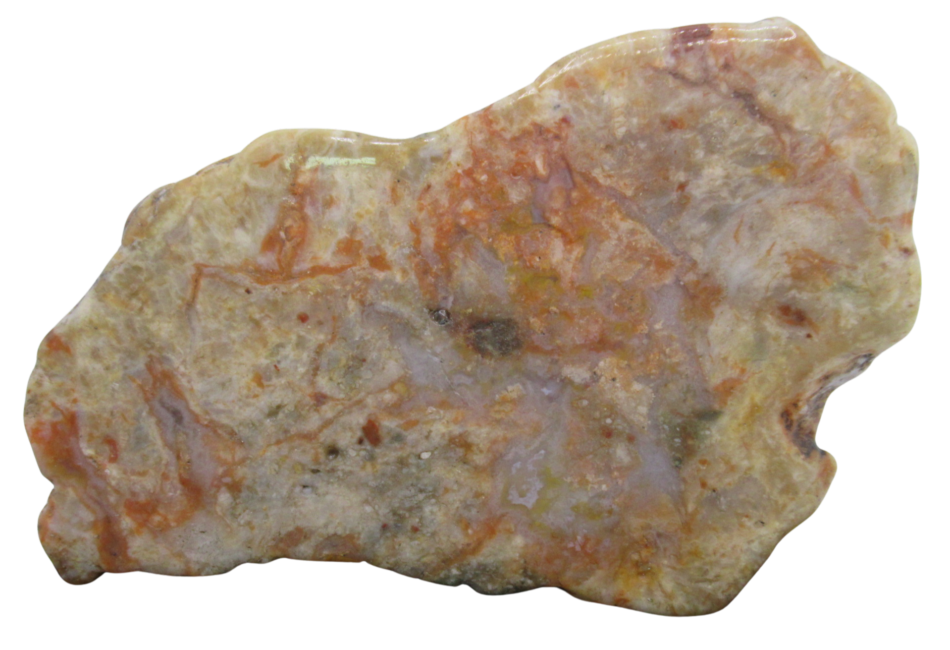 Jurassic Dinosaur Coprolite For Sale Genuine Fossil Dino Poop 131a | Fossils for Sale Jurassic Dinosaur Coprolite For Sale Genuine Fossil Dino Poop 131a