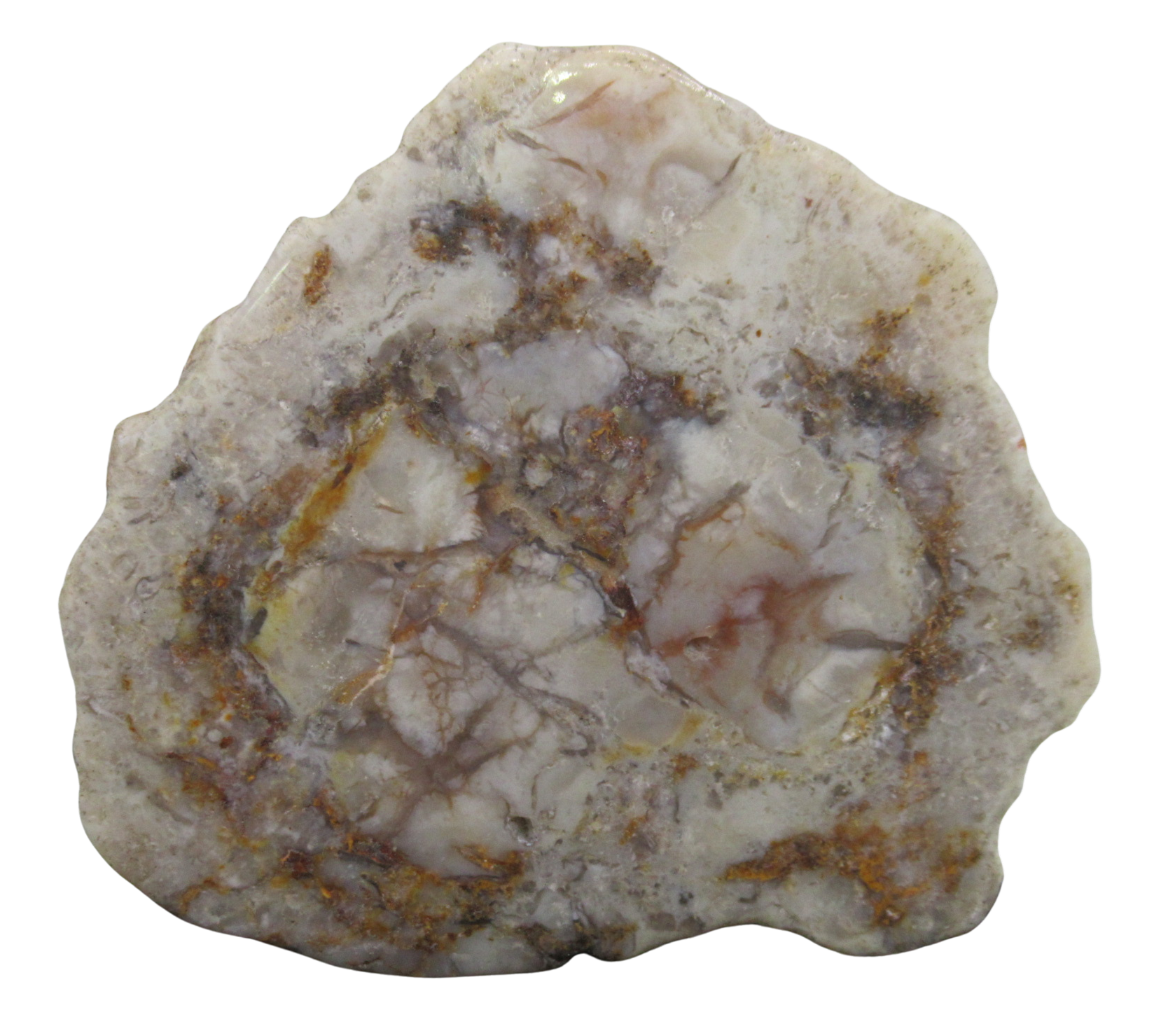 Jurassic Dinosaur Coprolite For Sale Genuine Fossil Dino Poop 132 | Fossils for Sale Jurassic Dinosaur Coprolite For Sale Genuine Fossil Dino Poop 132