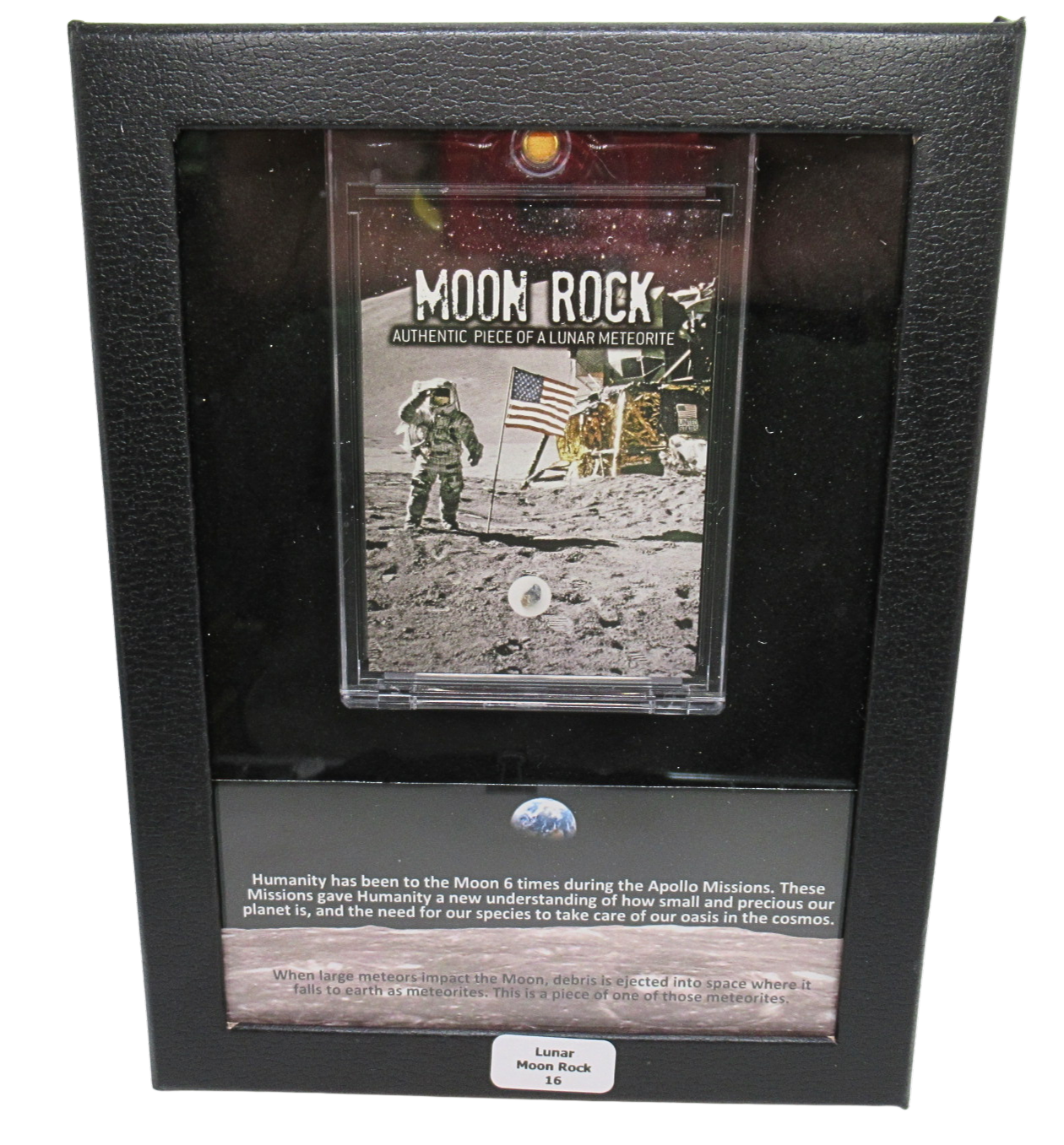 Lunar Moon Rock For Sale Genuine Lunar Meteorites 16 | Fossils for Sale Genuine Lunar Moon Rock for Sale #16