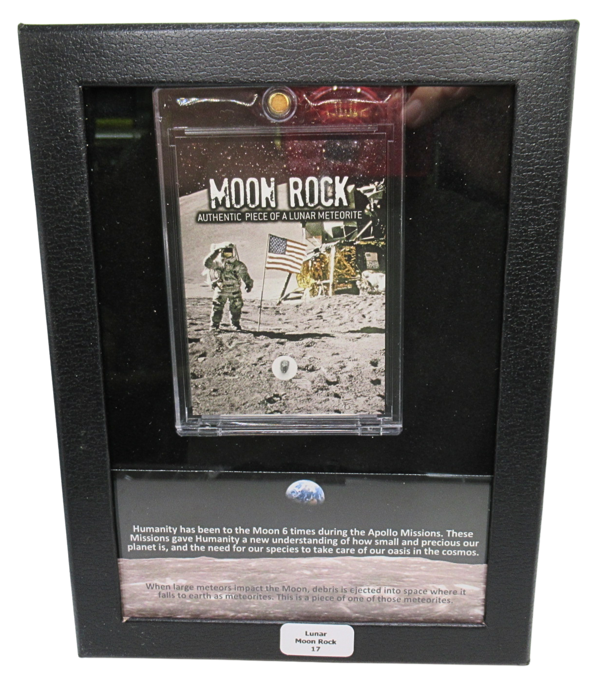 Lunar Moon Rock For Sale Genuine Lunar Meteorites 17 | Fossils for Sale Lunar Moon Rock For Sale Genuine Lunar Meteorites 17
