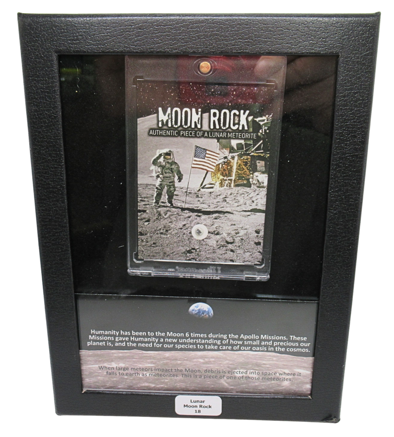 Lunar Moon Rock For Sale Genuine Lunar Meteorites 18 | Fossils for Sale Lunar Moon Rock For Sale Genuine Lunar Meteorites 18