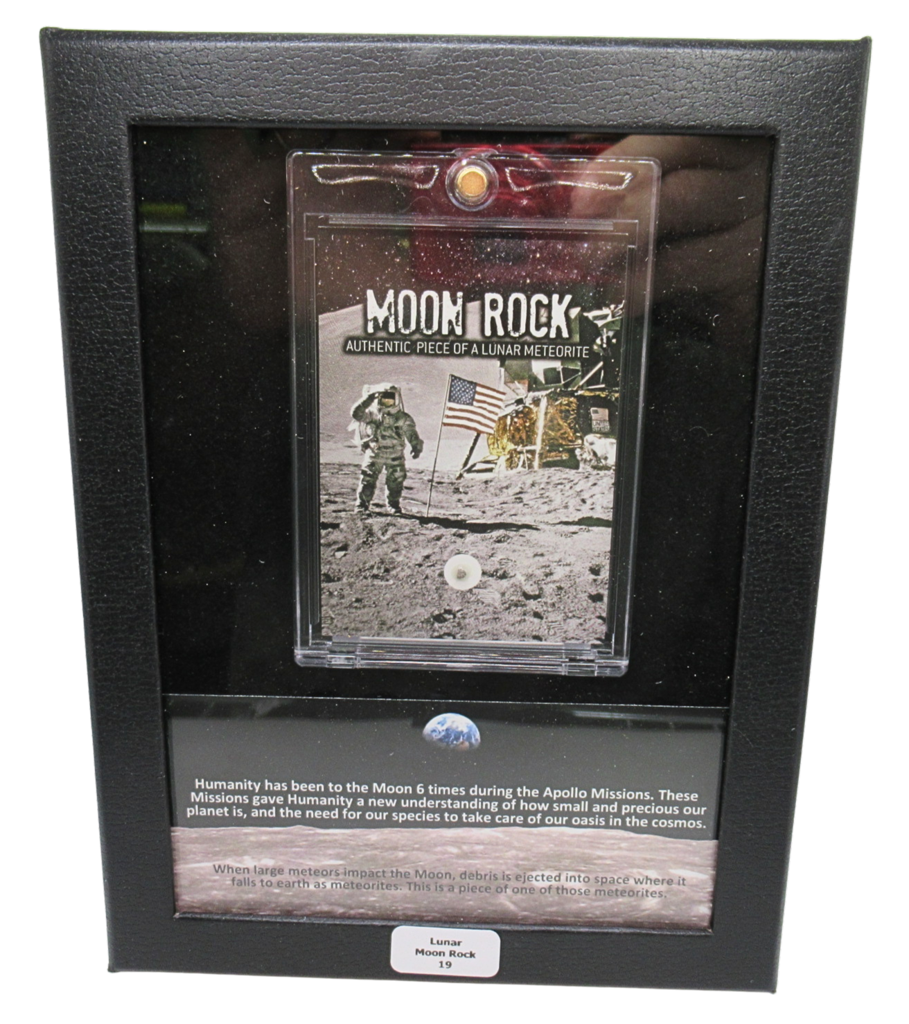 Lunar Moon Rock For Sale Genuine Lunar Meteorites 19 | Fossils for Sale Lunar Moon Rock For Sale Genuine Lunar Meteorites 19