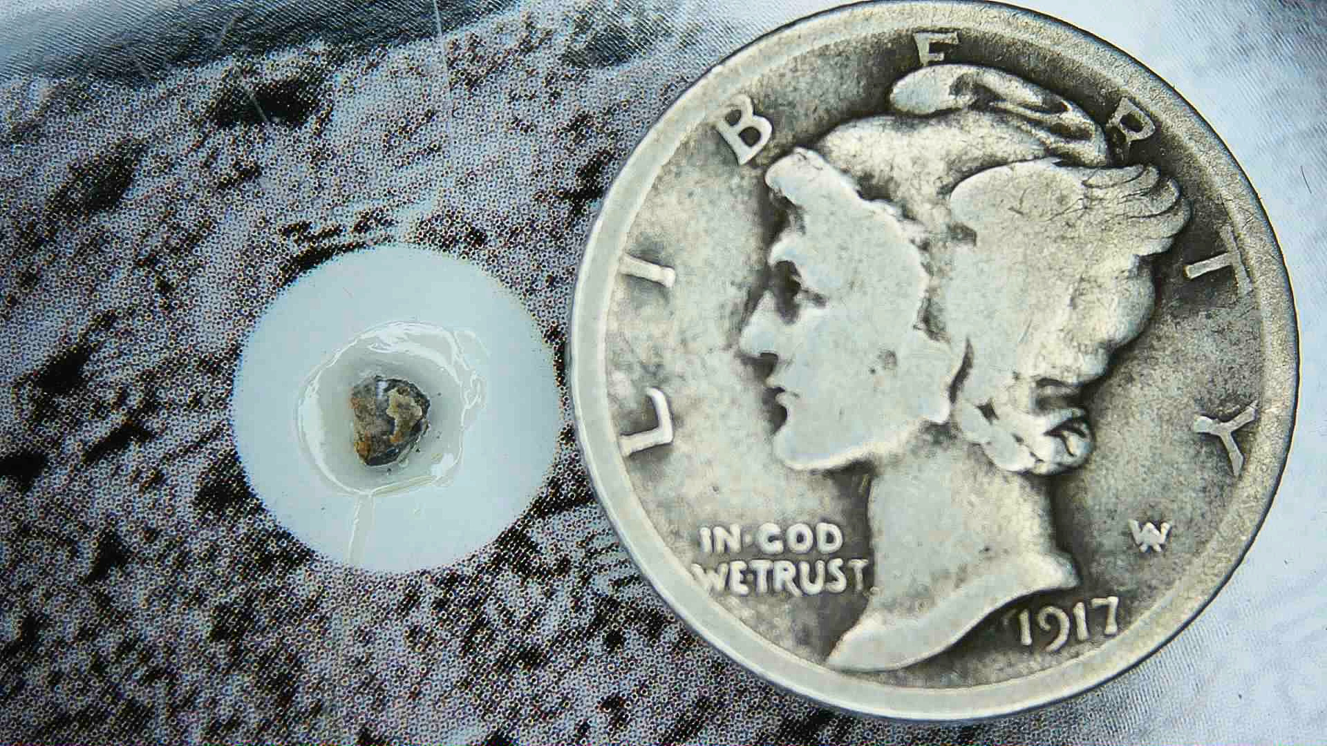 Lunar Moon Rock For Sale Genuine Lunar Meteorites 19a | Fossils for Sale Lunar Moon Rock For Sale Genuine Lunar Meteorites 19a