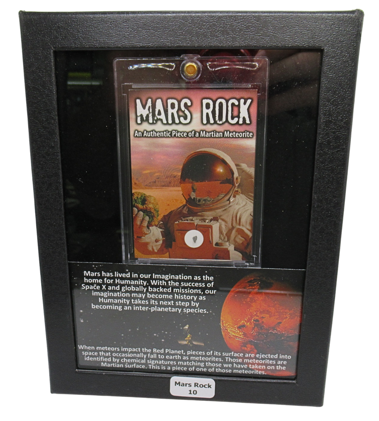 Mars Rock Meteorite For Sale Genuine Martian Meteorites 10 | Fossils for Sale Genuine Mars Rock Meteorite for Sale #10