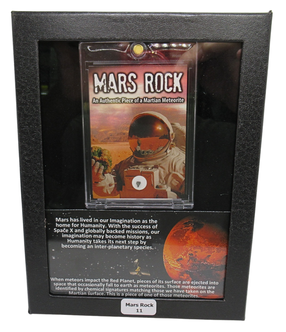Mars Rock Meteorite For Sale Genuine Martian Meteorites 11 | Fossils for Sale Genuine Mars Rock Meteorite for Sale #11