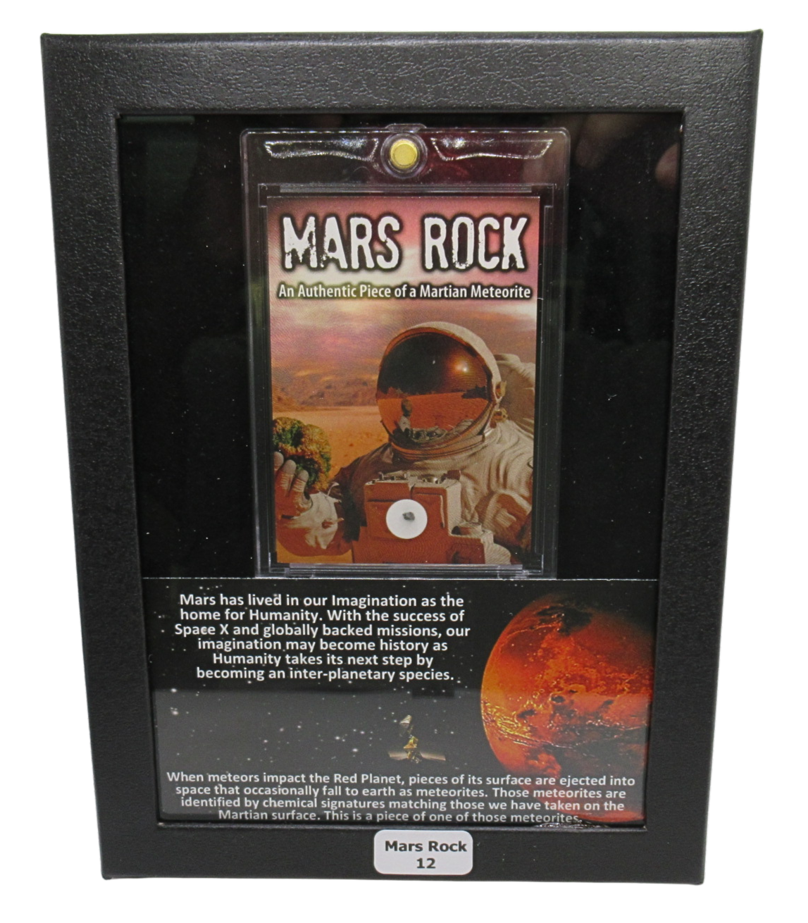 Mars Rock Meteorite For Sale Genuine Martian Meteorites 12 | Fossils for Sale Genuine Mars Rock Meteorite for Sale #12