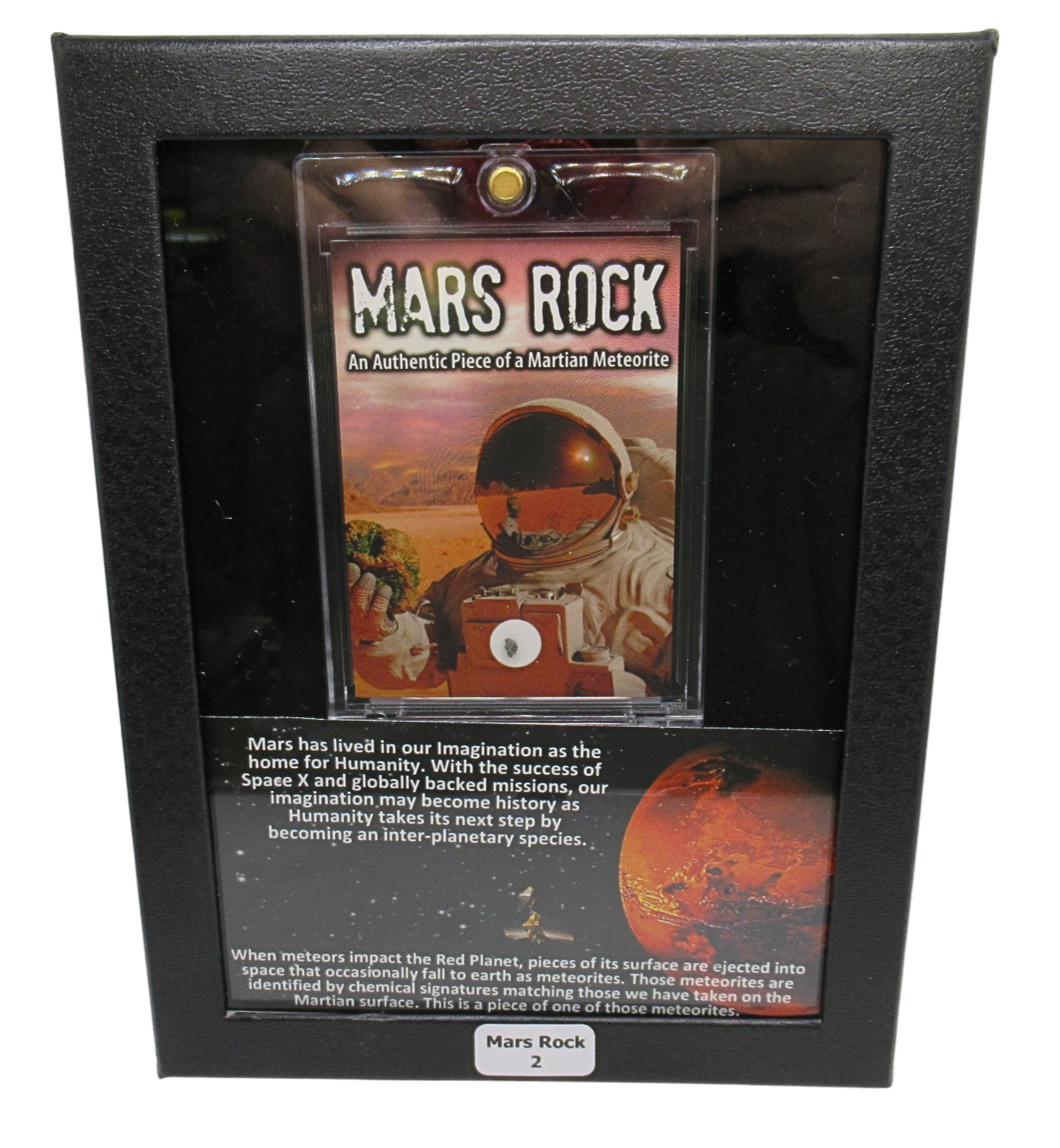 Mars Rock Meteorite For Sale Genuine Martian Meteorites 2 | Fossils for Sale Genuine Mars Rock Meteorite for Sale #2