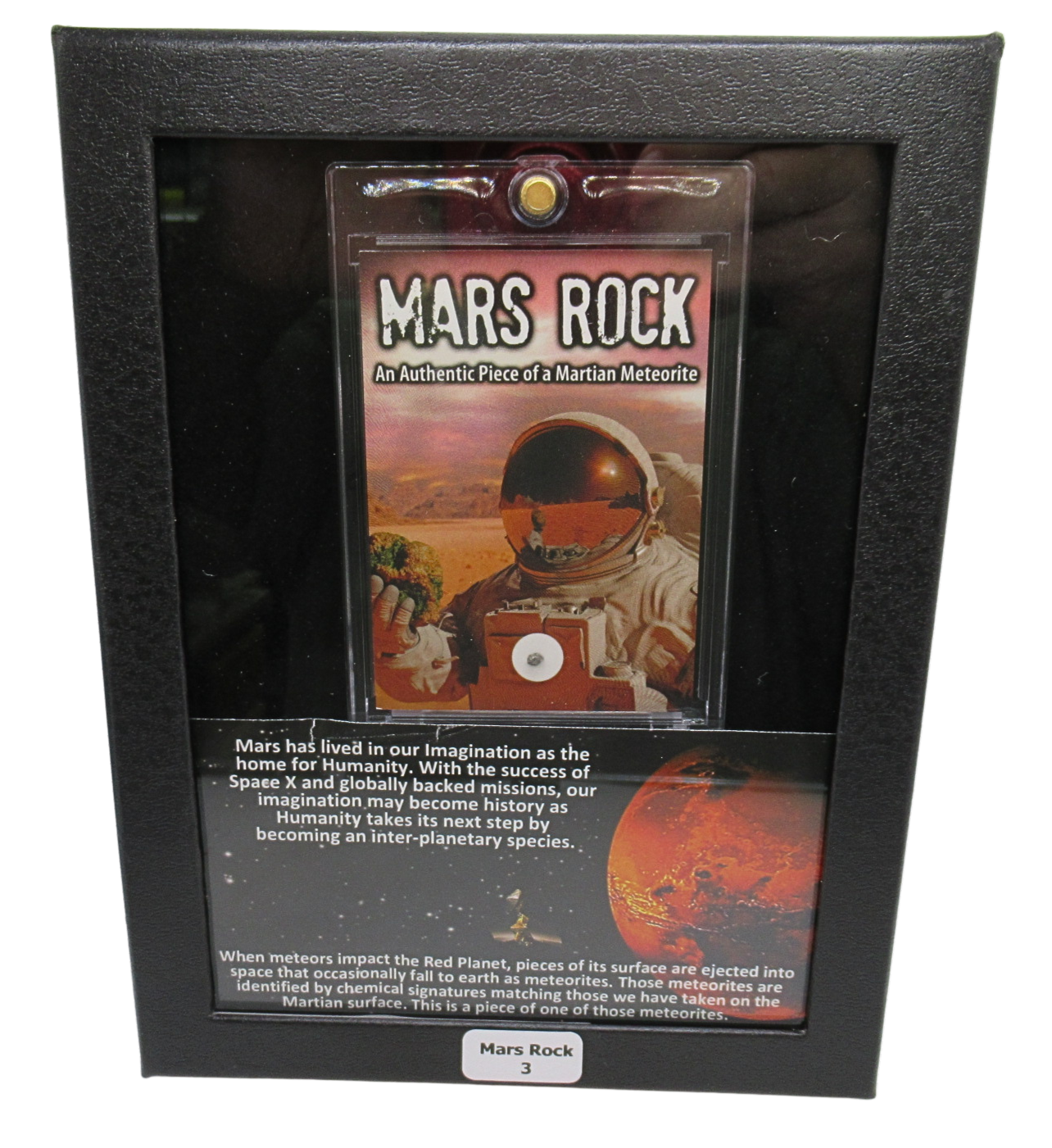 Mars Rock Meteorite For Sale Genuine Martian Meteorites 3 | Fossils for Sale Genuine Mars Rock Meteorite for Sale #3