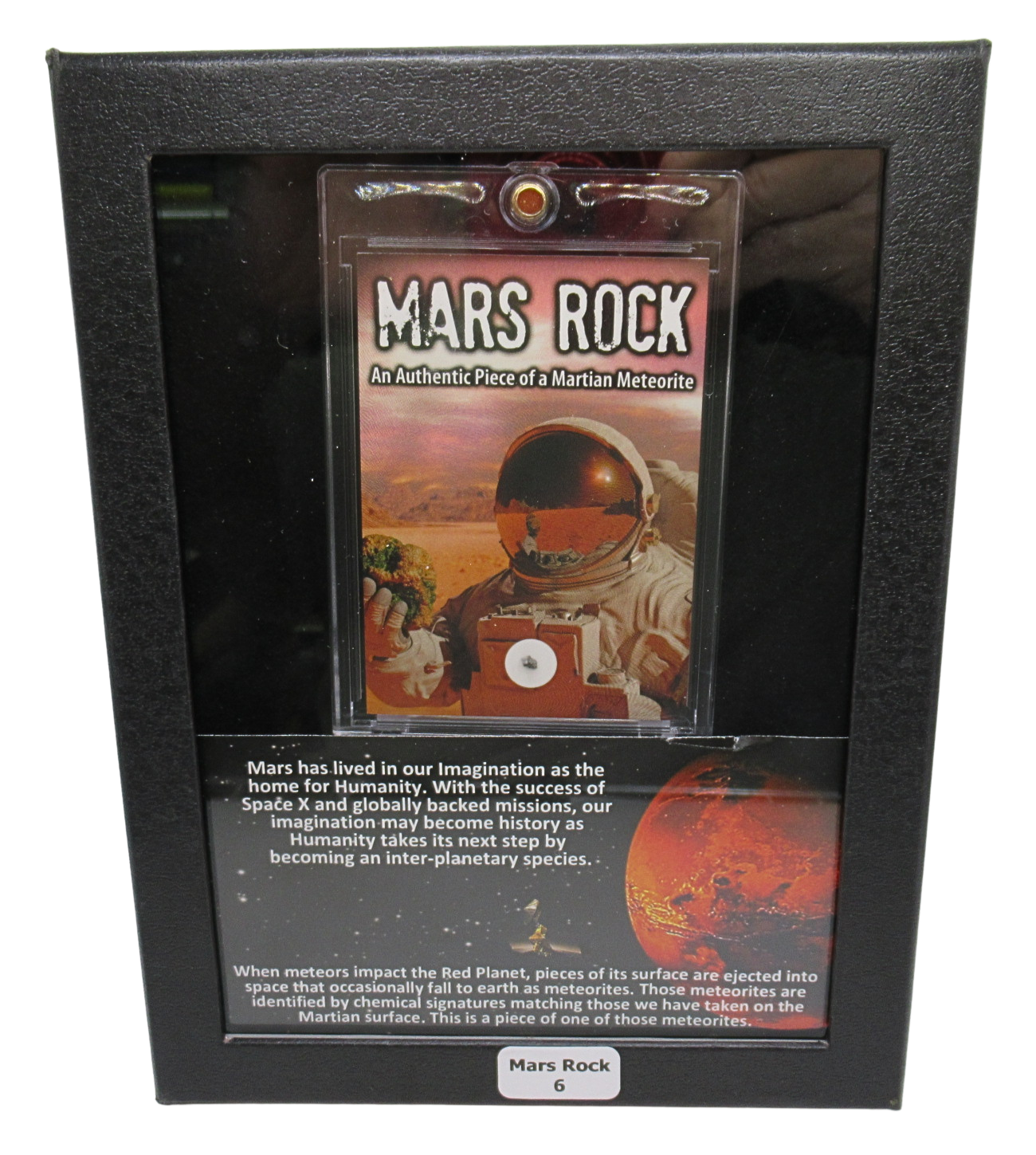 Mars Rock Meteorite For Sale Genuine Martian Meteorites 6 | Fossils for Sale Genuine Mars Rock Meteorite for Sale #6