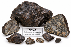 NWA Meteorites For Sale