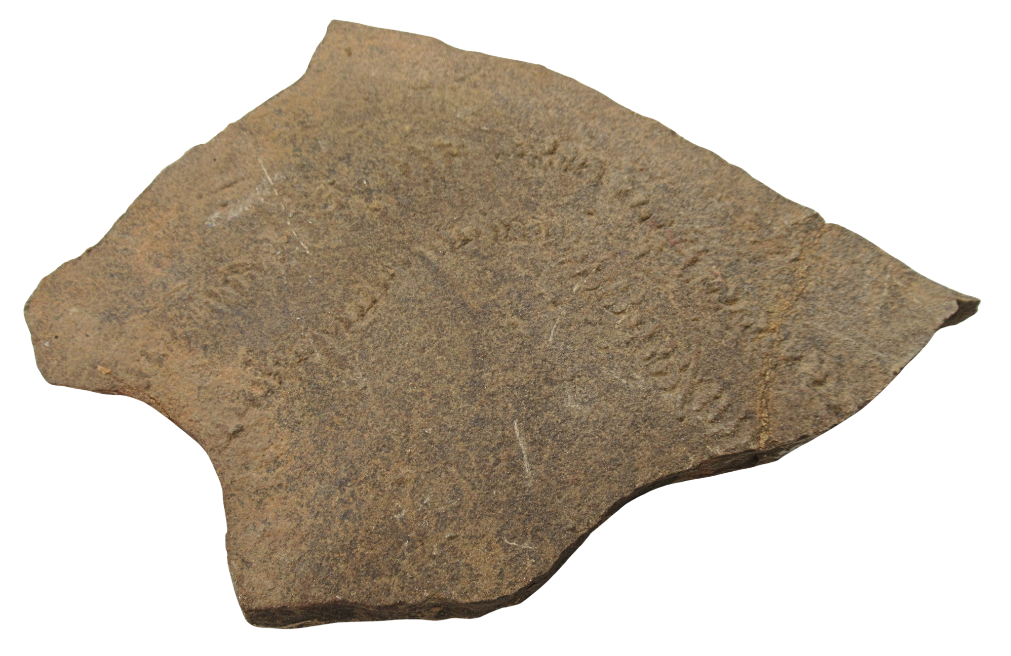 Trilobite Track Fossils For Sale Genuine Trilobite Trace Fossils 56b | Fossils for Sale Trilobite Track Fossils For Sale Genuine Trilobite Trace Fossils 56b