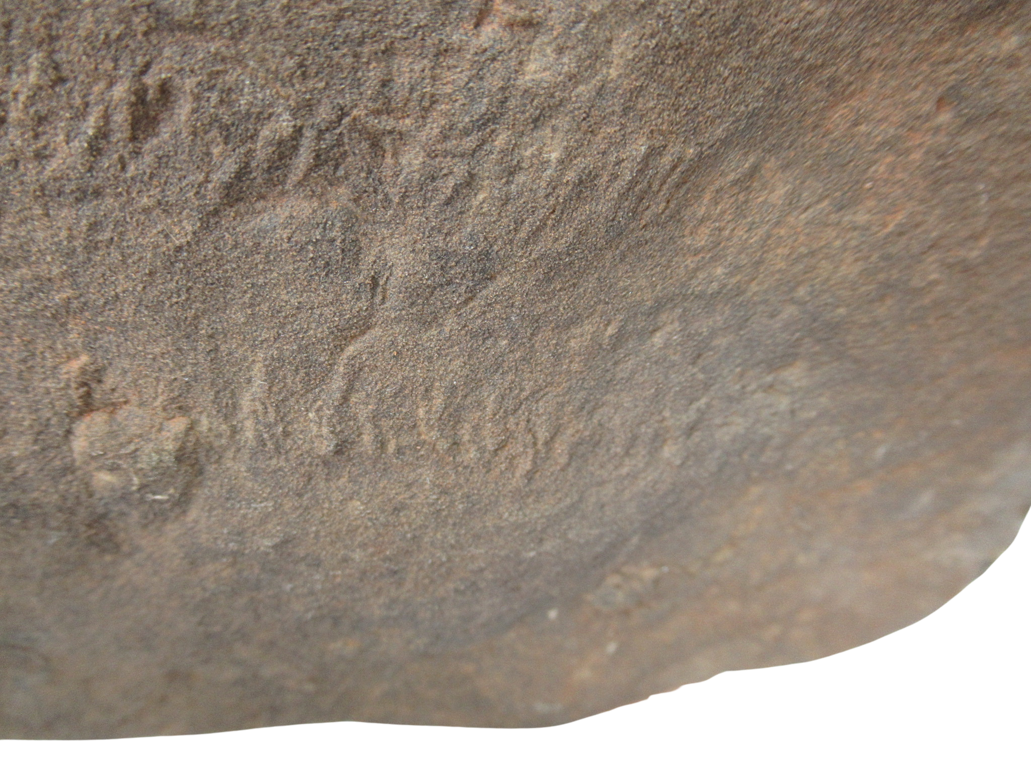 Trilobite Track Fossils For Sale Genuine Trilobite Trace Fossils 62b | Fossils for Sale Trilobite Track Fossils For Sale Genuine Trilobite Trace Fossils 62b