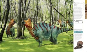Corythossaurus | Fossils for Sale Corythosaurus