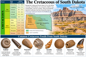Cretaceous South Dakota Fossil Guide | Fossils for Sale The Cretaceous of South Dakota