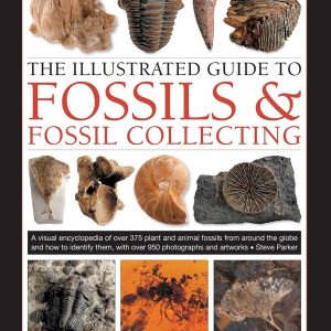 Fossil Collecting | Fossils for Sale Fossil Collecting