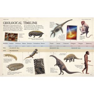 Geological Timeline | Fossils for Sale Geological Timeline