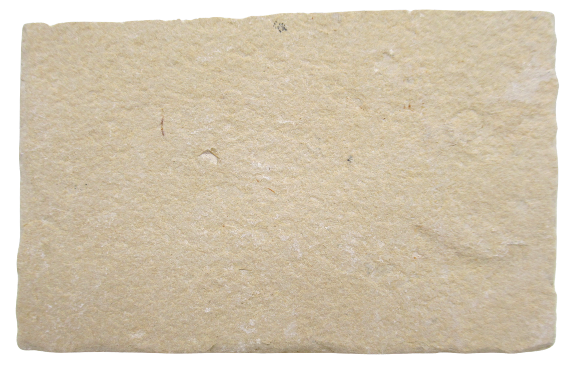 Lebanon Fossil Fish For Sale Genuine Cretaceous Fish Fossils 130c | Fossils for Sale Lebanon Fossil Fish For Sale Genuine Cretaceous Fish Fossils 130c