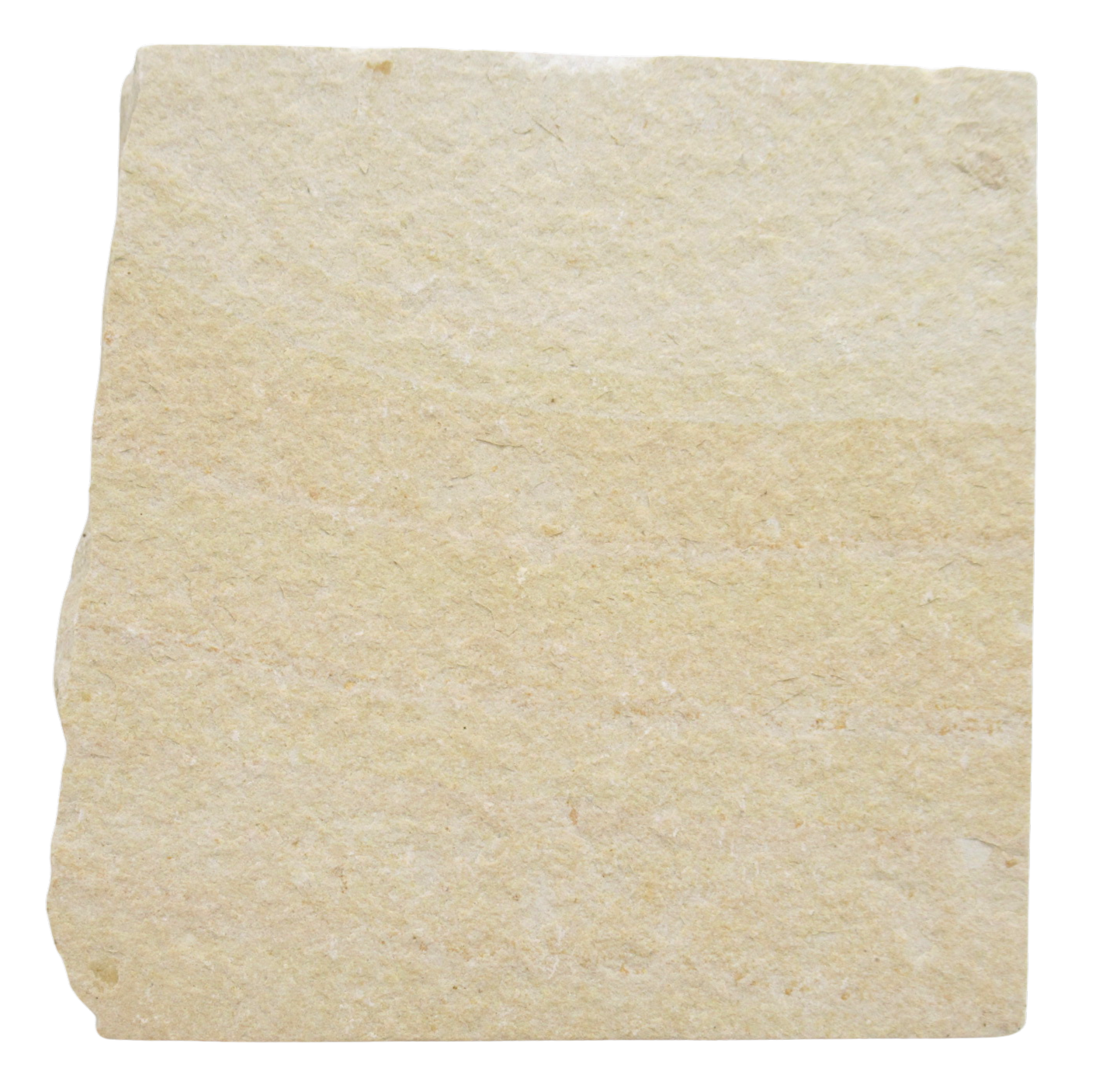 Lebanon Fossil Fish For Sale Genuine Cretaceous Fish Fossils 133c | Fossils for Sale Lebanon Fossil Fish For Sale Genuine Cretaceous Fish Fossils 133c