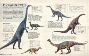 Prosauropods | Fossils for Sale Prosauropods