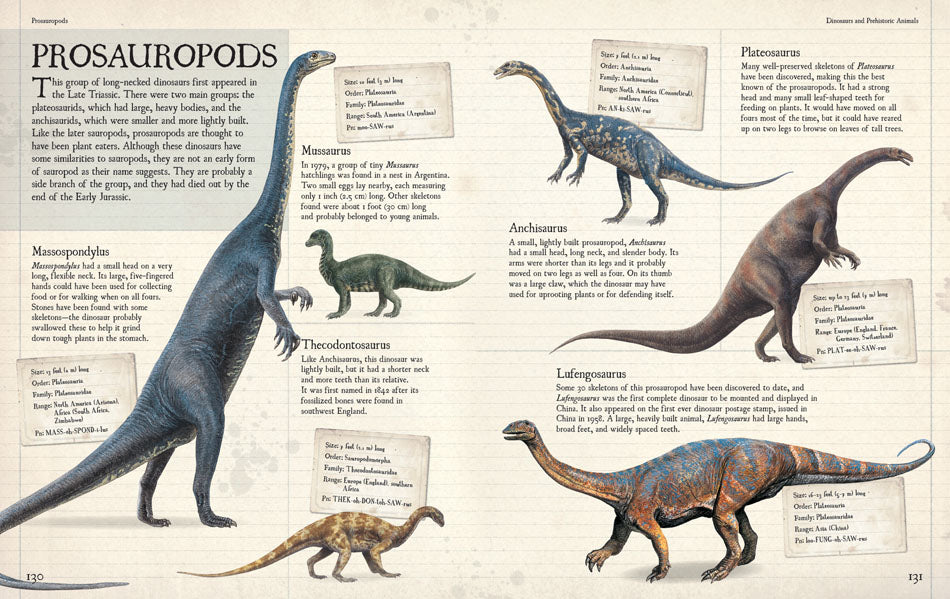 Prosauropods | Fossils for Sale Prosauropods
