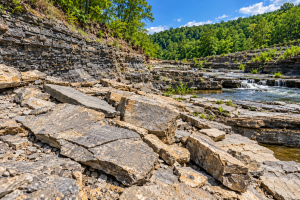 Rock Formation | Fossils for Sale Fossil Collecting Location
