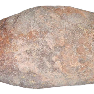 Triassic Coprolite Fossil For Sale Genuine Fossil Poop 119 | Fossils for Sale Triassic Coprolite Fossil For Sale Genuine Fossil Poop 119