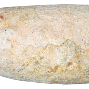 Triassic Coprolite Fossil For Sale Genuine Fossil Poop 123 | Fossils for Sale Triassic Coprolite Fossil For Sale Genuine Fossil Poop 123
