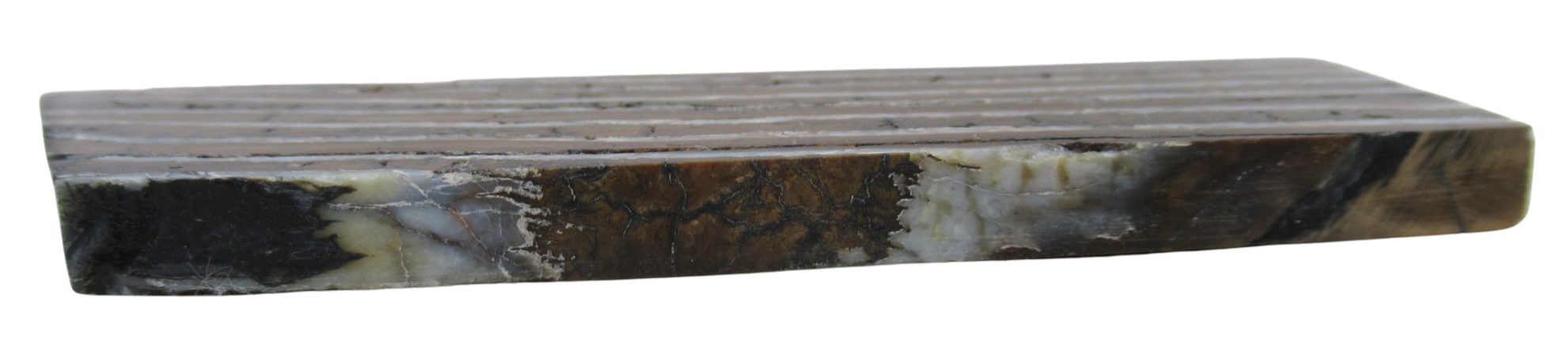 Woolly Mammoth Tooth Fossil For Sale Genuine Ice Age Fossils Tooth Slice 62b | Fossils for Sale Woolly Mammoth Tooth Fossil For Sale Genuine Ice Age Fossils Tooth Slice 62b